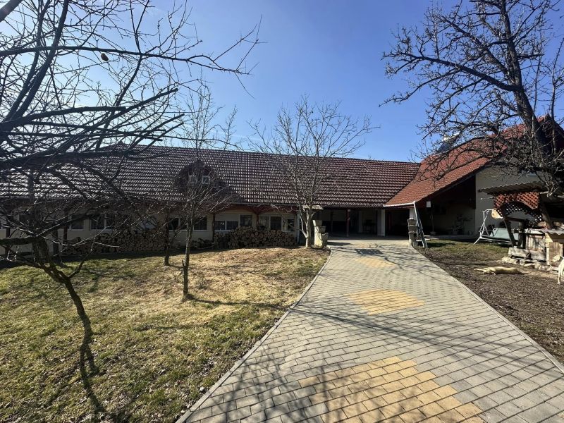 Casa Mare din Viile Satu Mare – Ideală pentru Casa de Bătrâni sau Pensiune!