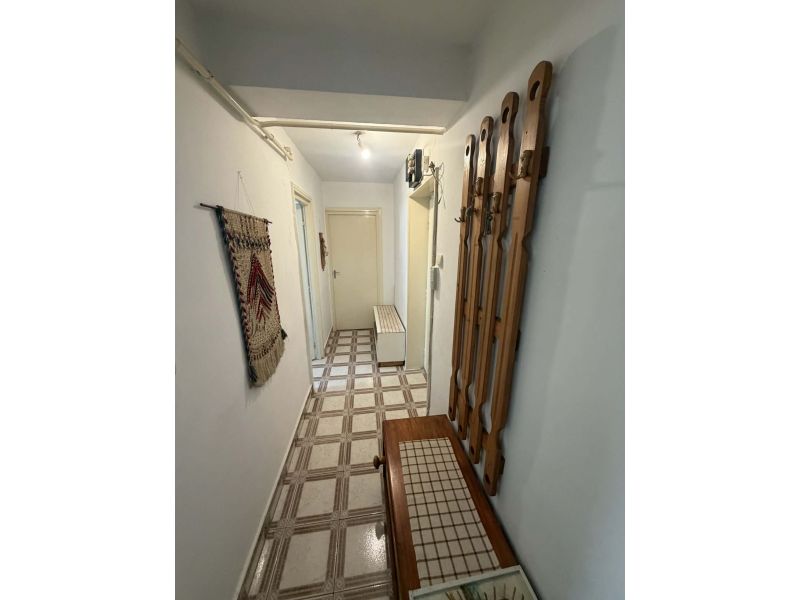 🔥 OFERTĂ EXCLUSIVĂ – APARTAMENT CU 2 CAMERE ÎN CAREI 🔥 (3)