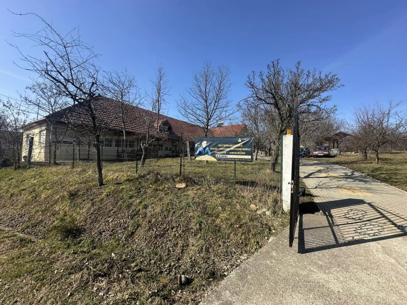Casa Mare din Viile Satu Mare – Ideală pentru Casa de Bătrâni sau Pensiune! (1)