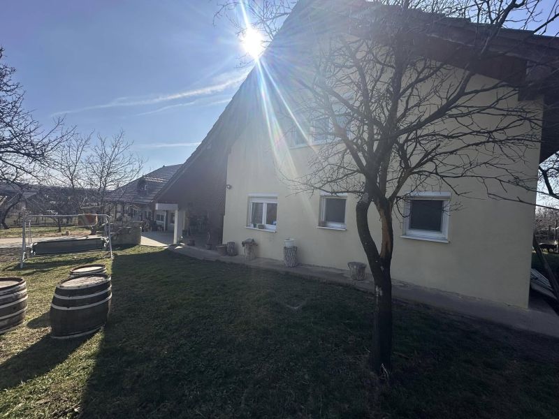 Casa Mare din Viile Satu Mare – Ideală pentru Casa de Bătrâni sau Pensiune! (2)