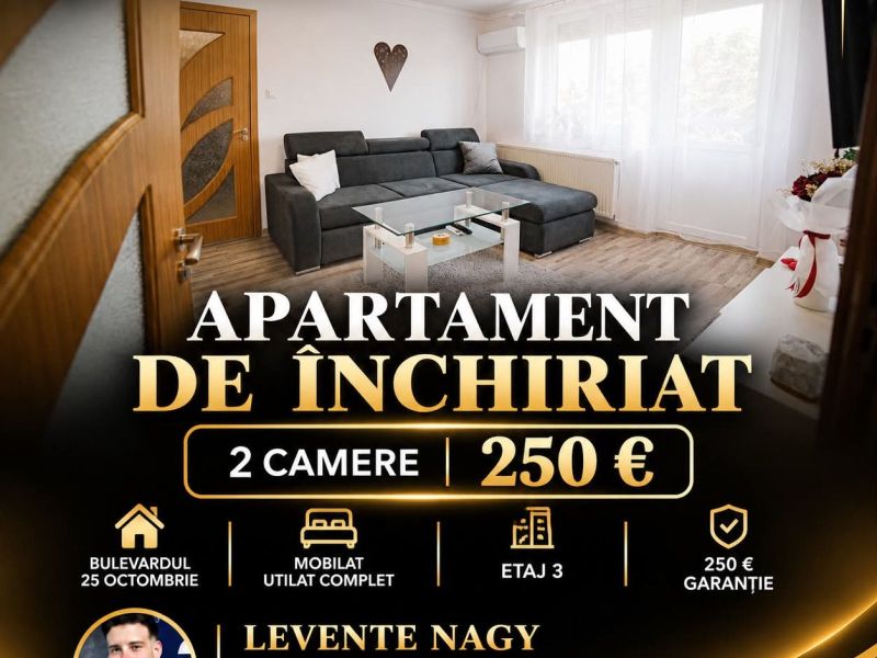 Apartament cu 2 camere de închiriat – Bulevardul 25 Octombrie, Carei